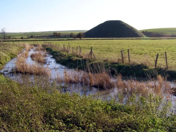 Grassy landscape with a rounded green mound, a flooded ditch, fencing, and pale sky, calm rural mood